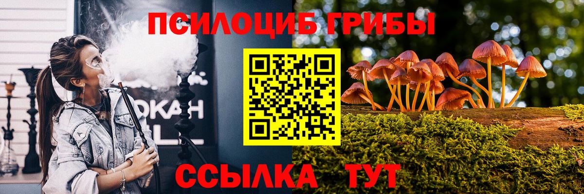 Псилоцибиновые грибы Psilocybine cubensis  Вход с VPN  Псилоцибиновые грибы мухоморы  где найти   Реж 